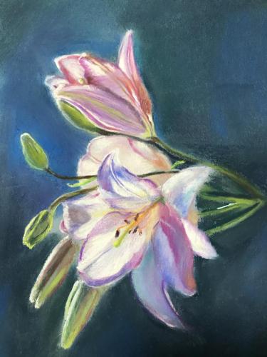 Lilies 10* 8 inches Framed $199