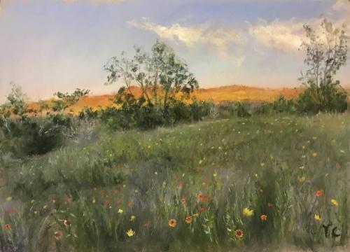 Spring At Senna Hills11*14 inches $349