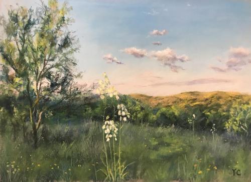 Spring At Senna Hills11*14 inches $349