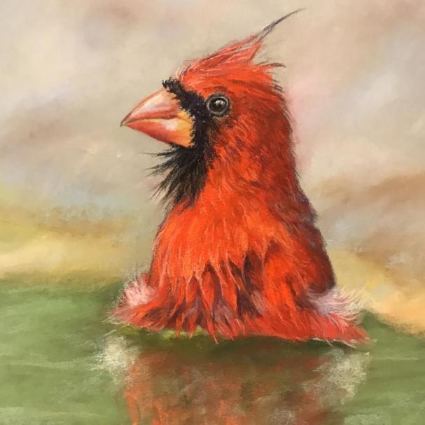 BathingCardinal