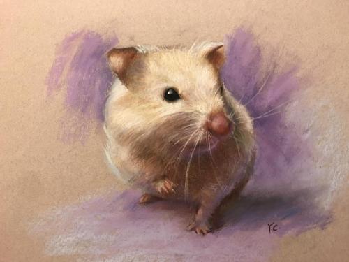 Hamster