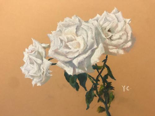 White Roses 11*14 inches $199