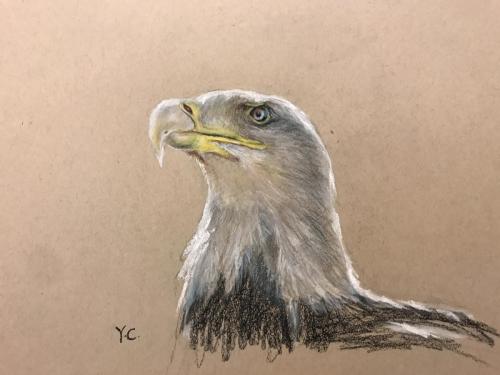 Eagle